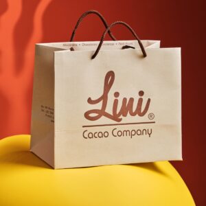 Bolsa Avanity 25X18X8