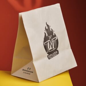 Bolsa Domicilio 22X33X15